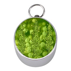 Green Fresh  Lilies Of The Valley The Return Of Happiness So Decorative Mini Silver Compasses by pepitasart