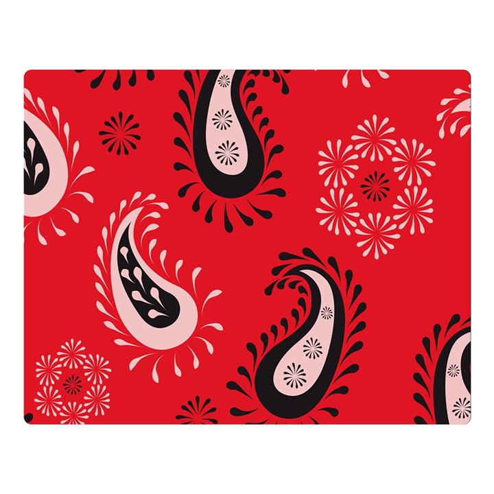 Floral pattern paisley style Paisley print.  Double Sided Flano Blanket (Large) 