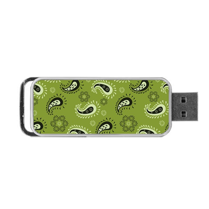 Floral pattern paisley style Paisley print.  Portable USB Flash (One Side)