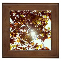 Golden Leaf s Framed Tile by DimitriosArt