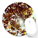 Golden Leaf s Round Mousepads Front