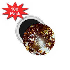 Golden Leaf s 1.75  Magnets (100 pack) 