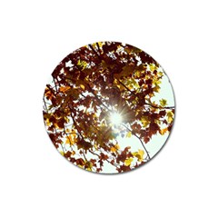 Golden Leaf s Magnet 3  (Round)