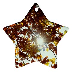 Golden Leaf s Star Ornament (Two Sides)