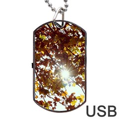 Golden Leaf s Dog Tag Usb Flash (one Side) by DimitriosArt