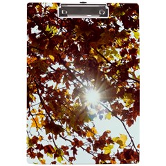 Golden Leaf s A4 Clipboard by DimitriosArt