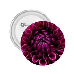 Dahlia-flower-purple-dahlia-petals 2 25  Buttons by Sapixe