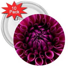 Dahlia-flower-purple-dahlia-petals 3  Buttons (10 Pack)  by Sapixe