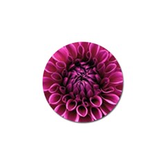 Dahlia-flower-purple-dahlia-petals Golf Ball Marker (4 Pack) by Sapixe