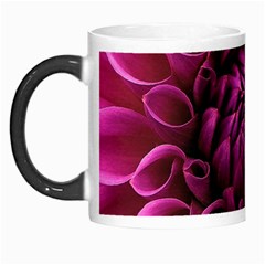 Dahlia-flower-purple-dahlia-petals Morph Mugs by Sapixe