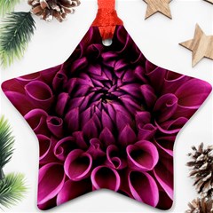 Dahlia-flower-purple-dahlia-petals Star Ornament (two Sides) by Sapixe