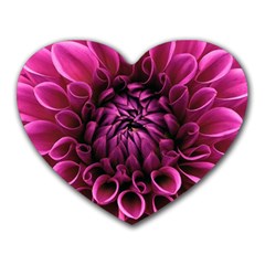 Dahlia-flower-purple-dahlia-petals Heart Mousepads by Sapixe