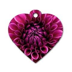 Dahlia-flower-purple-dahlia-petals Dog Tag Heart (one Side) by Sapixe