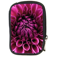 Dahlia-flower-purple-dahlia-petals Compact Camera Leather Case by Sapixe