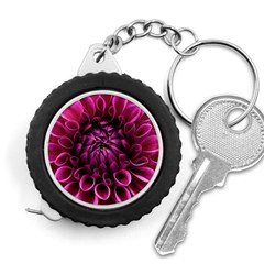 Dahlia-flower-purple-dahlia-petals Measuring Tape by Sapixe