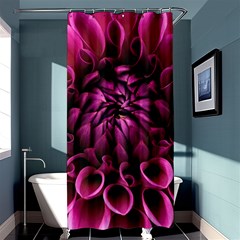 Dahlia-flower-purple-dahlia-petals Shower Curtain 36  X 72  (stall)  by Sapixe