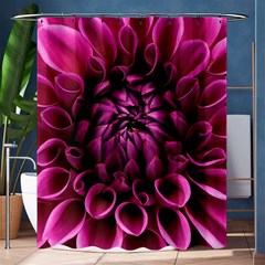 Dahlia-flower-purple-dahlia-petals Shower Curtain 60  X 72  (medium)  by Sapixe