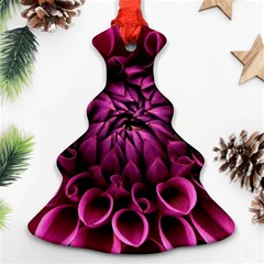 Dahlia-flower-purple-dahlia-petals Ornament (christmas Tree) 