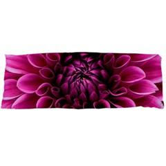 Dahlia-flower-purple-dahlia-petals Body Pillow Case Dakimakura (two Sides) by Sapixe