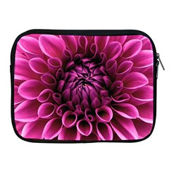 Dahlia-flower-purple-dahlia-petals Apple Ipad 2/3/4 Zipper Cases by Sapixe