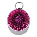 Dahlia-flower-purple-dahlia-petals Mini Silver Compasses Front