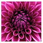 Dahlia-flower-purple-dahlia-petals Large Satin Scarf (Square) Front