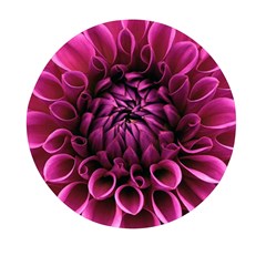 Dahlia-flower-purple-dahlia-petals Mini Round Pill Box