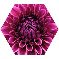 Dahlia-flower-purple-dahlia-petals Wooden Puzzle Hexagon by Sapixe