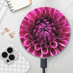 Dahlia-flower-purple-dahlia-petals Wireless Charger