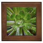 The Heart Of The Green Sun Framed Tile Front