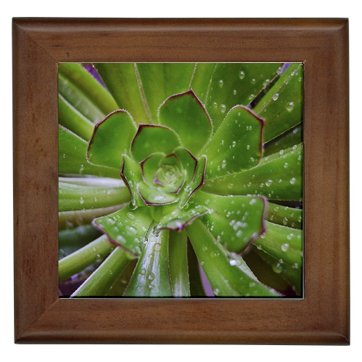 The Heart Of The Green Sun Framed Tile