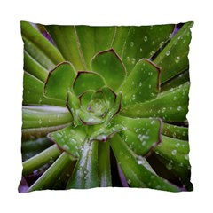 The Heart Of The Green Sun Standard Cushion Case (one Side) by DimitriosArt