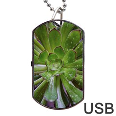 The Heart Of The Green Sun Dog Tag Usb Flash (one Side) by DimitriosArt