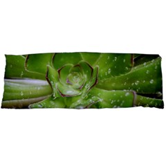 The Heart Of The Green Sun Body Pillow Case Dakimakura (two Sides)