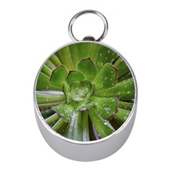 The Heart Of The Green Sun Mini Silver Compasses