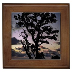 Sunset Coastal Park Landscape, Montevideo Uruguay Framed Tile by dflcprintsclothing