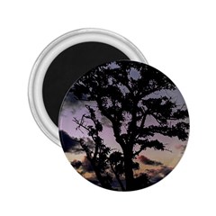 Sunset Coastal Park Landscape, Montevideo Uruguay 2 25  Magnets by dflcprintsclothing