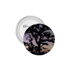 Sunset Coastal Park Landscape, Montevideo Uruguay 1 75  Buttons by dflcprintsclothing