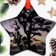 Sunset Coastal Park Landscape, Montevideo Uruguay Ornament (star) by dflcprintsclothing