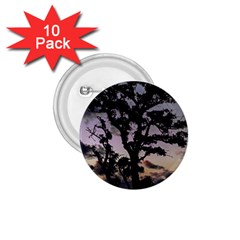 Sunset Coastal Park Landscape, Montevideo Uruguay 1 75  Buttons (10 Pack) by dflcprintsclothing