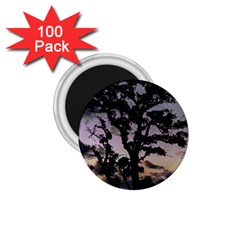 Sunset Coastal Park Landscape, Montevideo Uruguay 1 75  Magnets (100 Pack)  by dflcprintsclothing