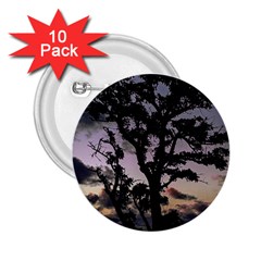 Sunset Coastal Park Landscape, Montevideo Uruguay 2 25  Buttons (10 Pack)  by dflcprintsclothing