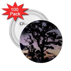 Sunset Coastal Park Landscape, Montevideo Uruguay 2 25  Buttons (100 Pack) 