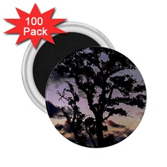 Sunset Coastal Park Landscape, Montevideo Uruguay 2 25  Magnets (100 Pack)  by dflcprintsclothing