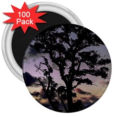 Sunset Coastal Park Landscape, Montevideo Uruguay 3  Magnets (100 Pack) by dflcprintsclothing