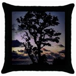 Sunset Coastal Park Landscape, Montevideo Uruguay Throw Pillow Case (Black) Front