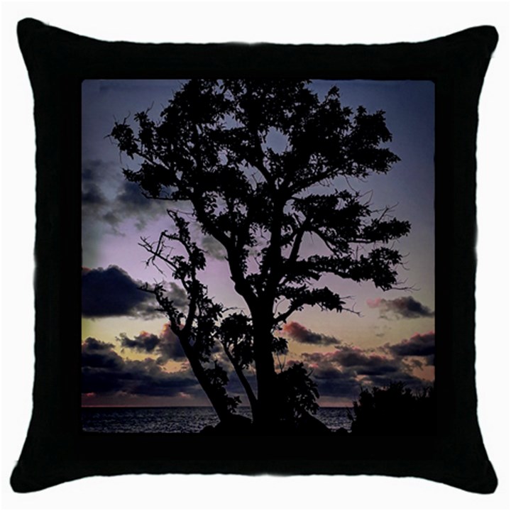 Sunset Coastal Park Landscape, Montevideo Uruguay Throw Pillow Case (Black)