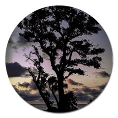 Sunset Coastal Park Landscape, Montevideo Uruguay Magnet 5  (round) by dflcprintsclothing