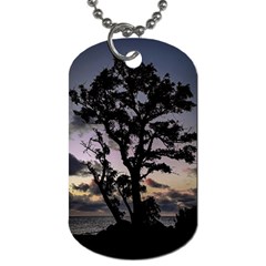 Sunset Coastal Park Landscape, Montevideo Uruguay Dog Tag (two Sides) by dflcprintsclothing