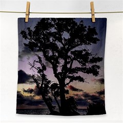 Sunset Coastal Park Landscape, Montevideo Uruguay Face Towel by dflcprintsclothing